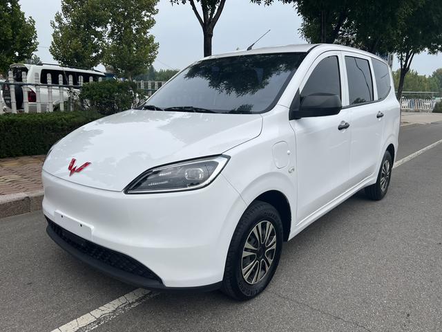 Wuling Hongguang Pure Electric Version 2024 300KM Standard Type