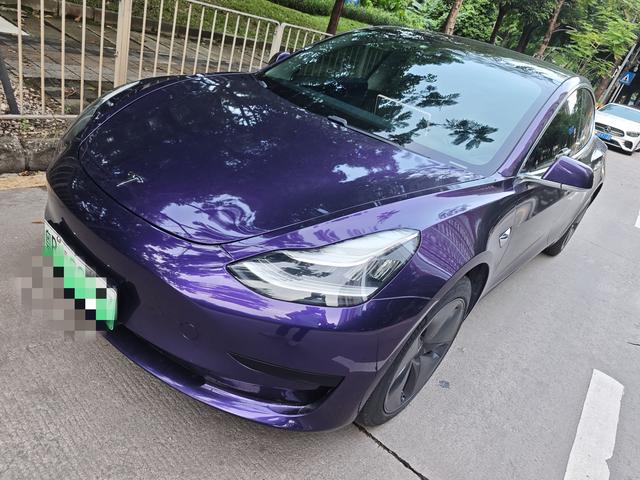 Model 3 (Import) 2019 Standard Range Rear Drive Upgrade