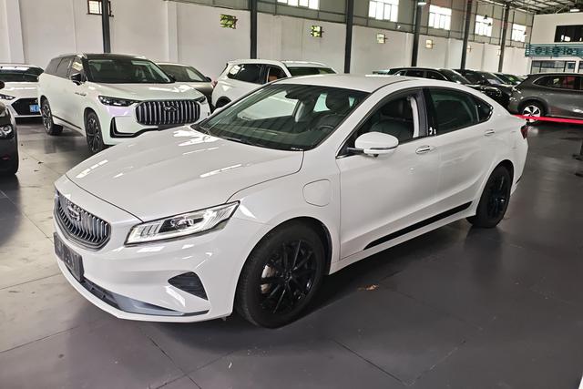 Borui ePRO 2022 1.5T mileage upgraded version 84km luxury