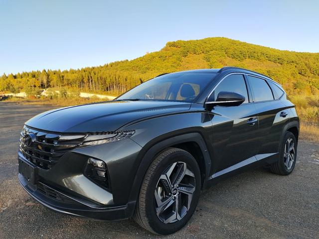 Tucson 2022 Tucson L 1.5T LUX two-wheel drive Premium Edition N Line