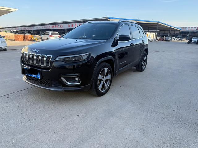 Free Light 2020 2.0T two-wheel drive leading version