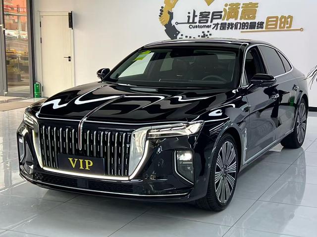 Hongqi H9 2025 2.0T Qixiang Luxury Business Edition