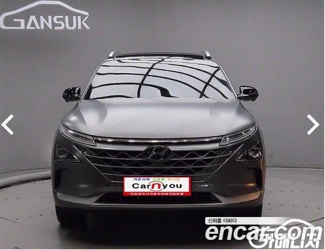 Hyundai Nexo Premium
