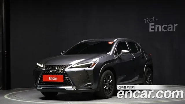 Lexus UX 2.0 2WD