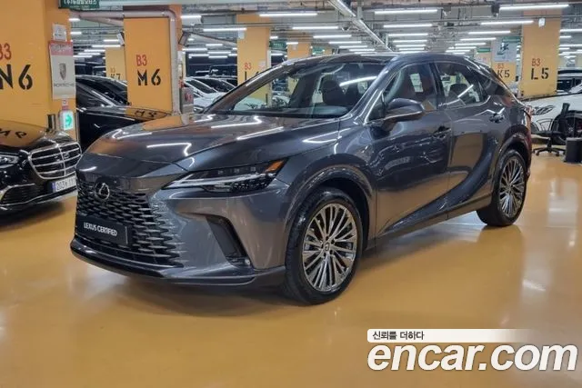 Lexus RX Luxury