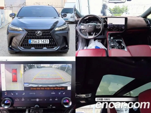 Lexus NX Luxury