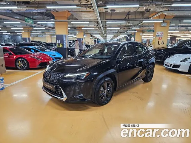 Lexus UX 2.0 2WD