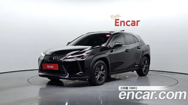 Lexus UX 2.0 2WD