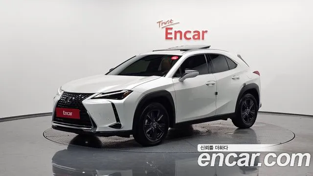 Lexus UX 2.0 2WD