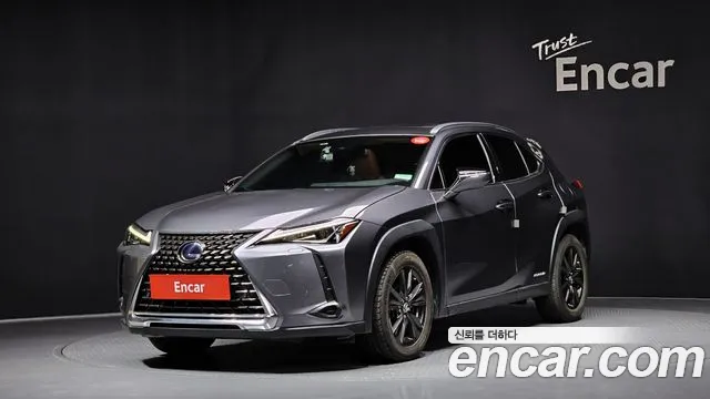 Lexus UX 2.0 2WD