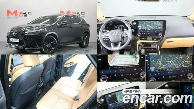 Lexus NX Premium