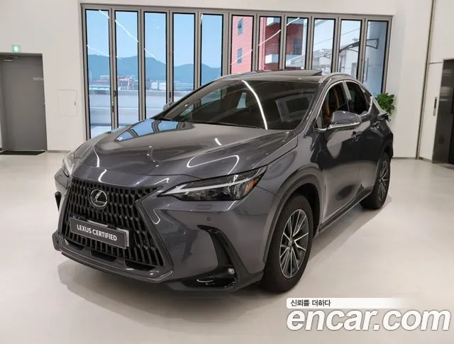 Lexus NX Premium