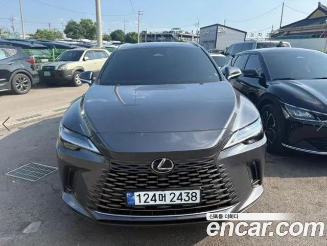 Lexus RX Luxury