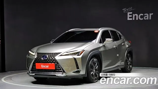 Lexus UX 2.0 2WD