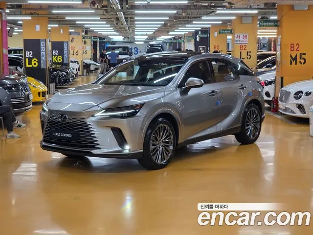 Lexus RX Luxury