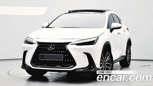 Lexus NX Luxury