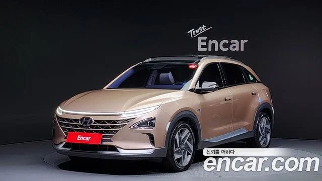 Hyundai Nexo Premium