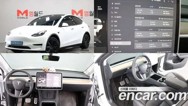Tesla Model Y RWD
