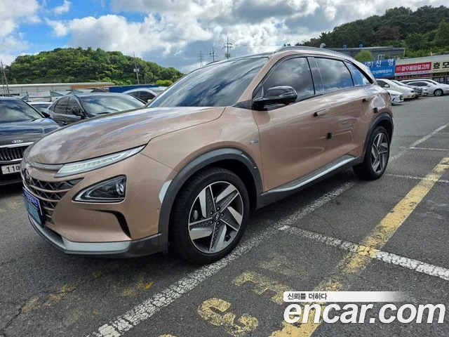Hyundai Nexo Premium