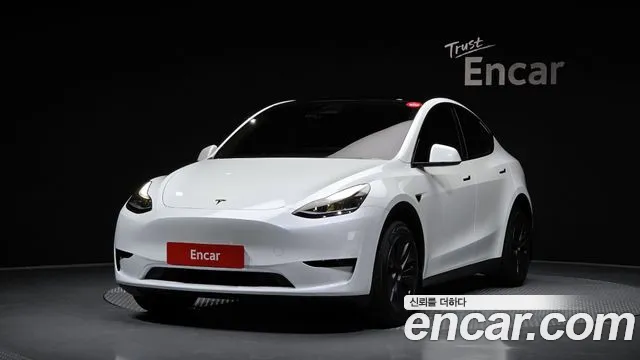 Tesla Model Y RWD