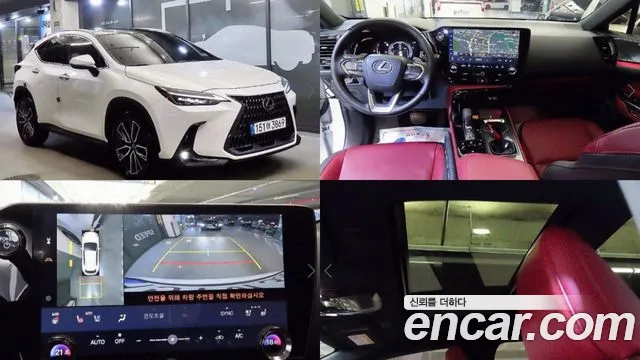 Lexus NX Luxury
