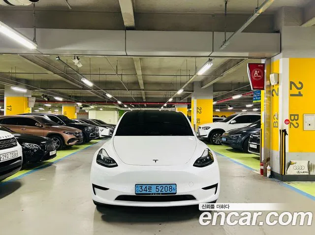 Tesla Model Y RWD