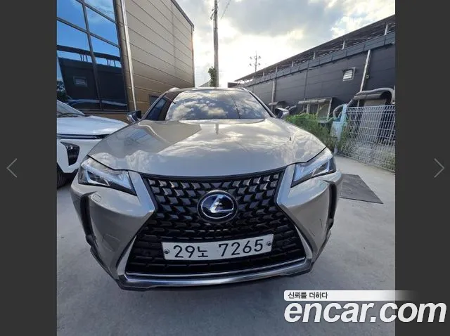 Lexus UX 2.0 2WD