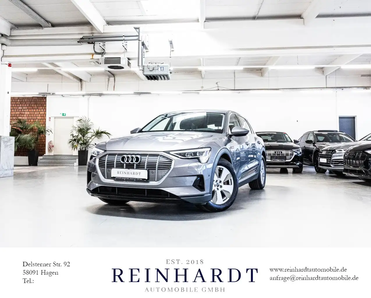 e-tron50 QUATTRO ACC/HuD/MTRIX/AHK/DAB/KAMERA