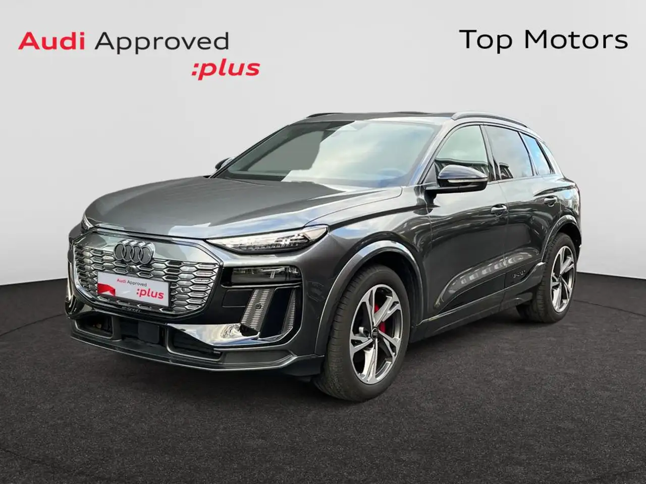 Q6e-tron Sline performance*Trekhaak*Platinum*TechPro