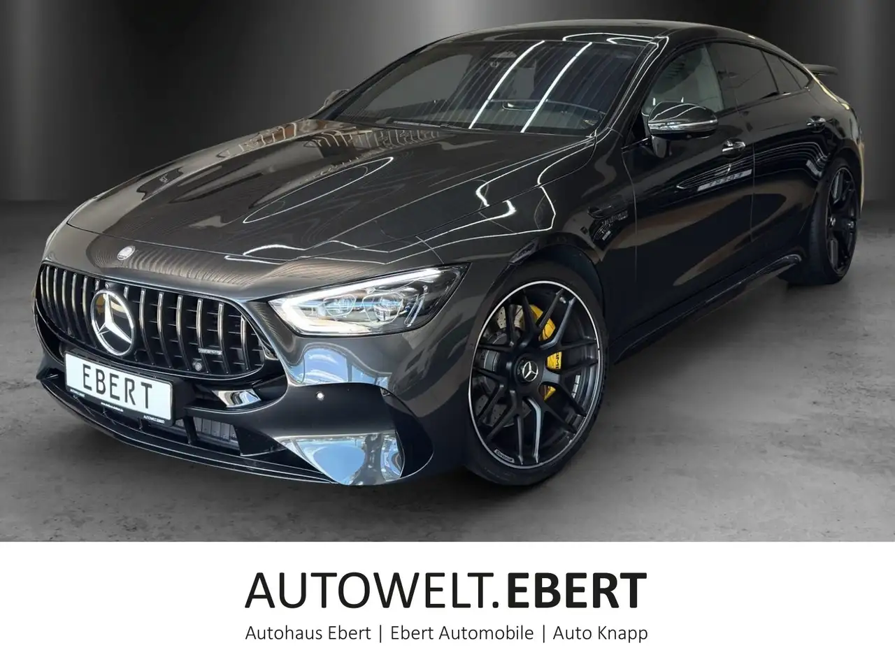AMG GTGT63S Carbon DISTRO Massage AHK Pano Standhz 21"