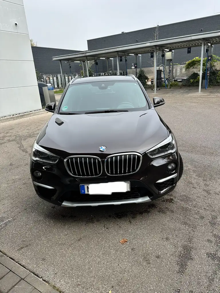 X1sDrive18i Aut. xLine