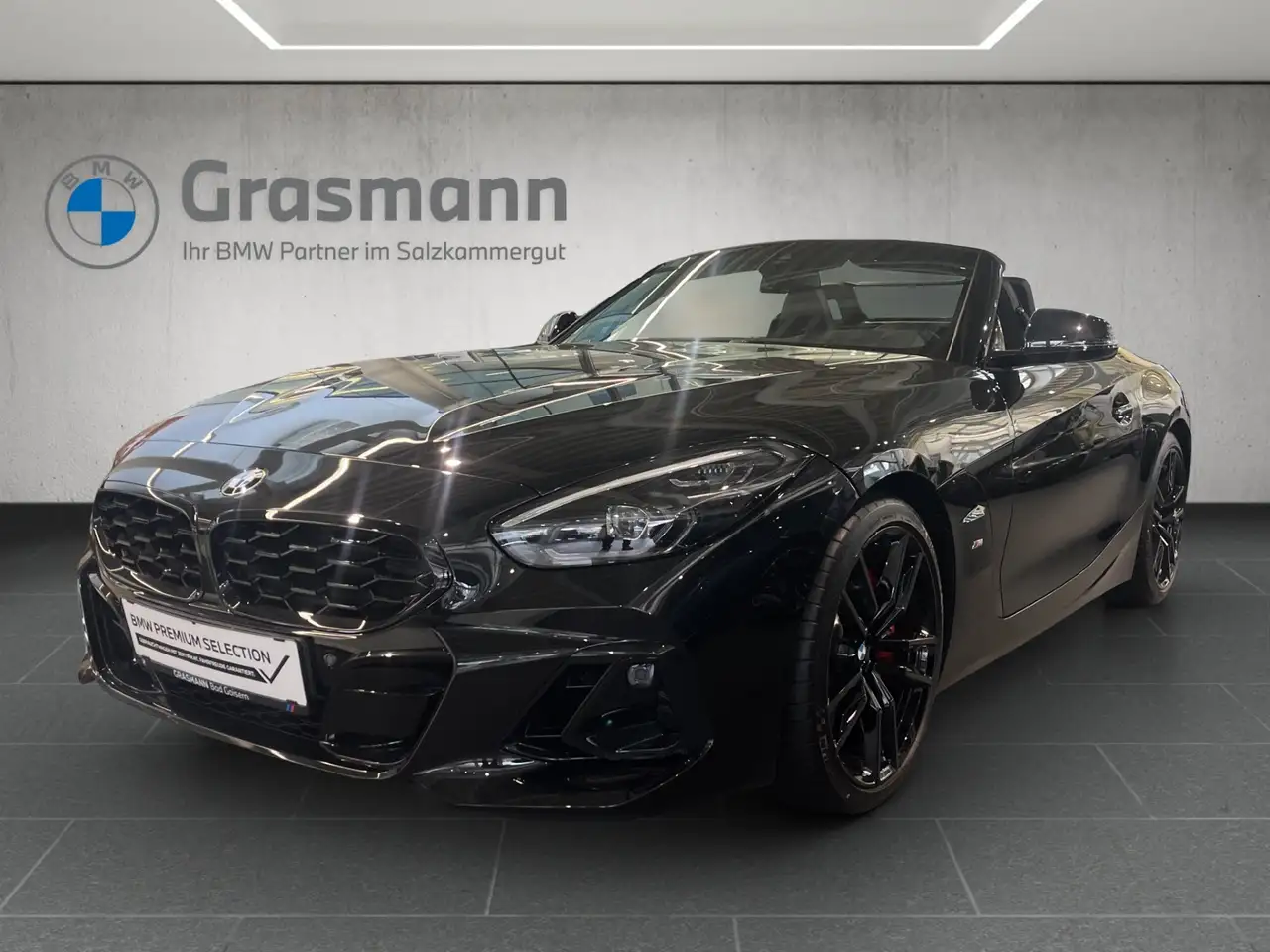 Z4Z4 sDrive 20i