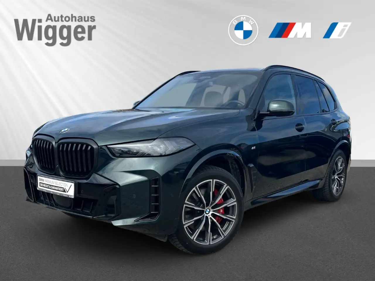 X530d M Sport/HUD/StandHZG/Panoramadach/h&k