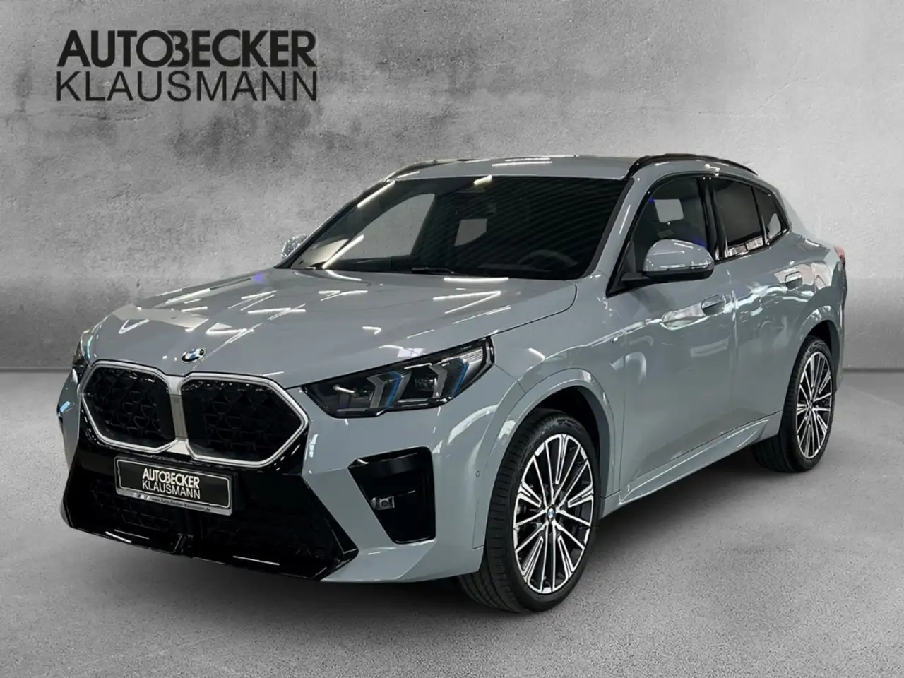 X2sDrive20i M Sport LMR 20'' Park-Assistent HUD AD N