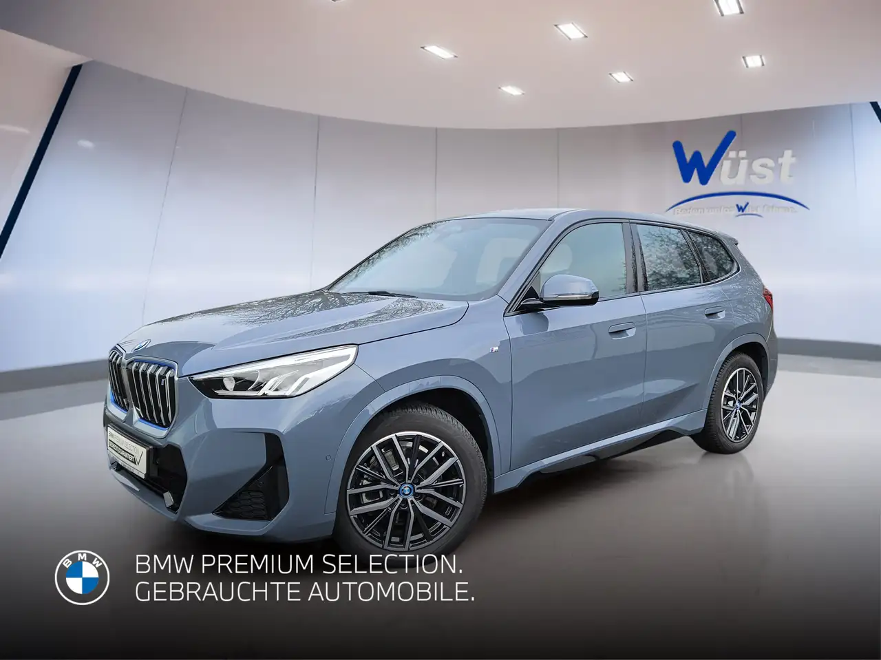 iX1xDrive30 1.HAND | M-PAKET | LENKRADHEIZUNG
