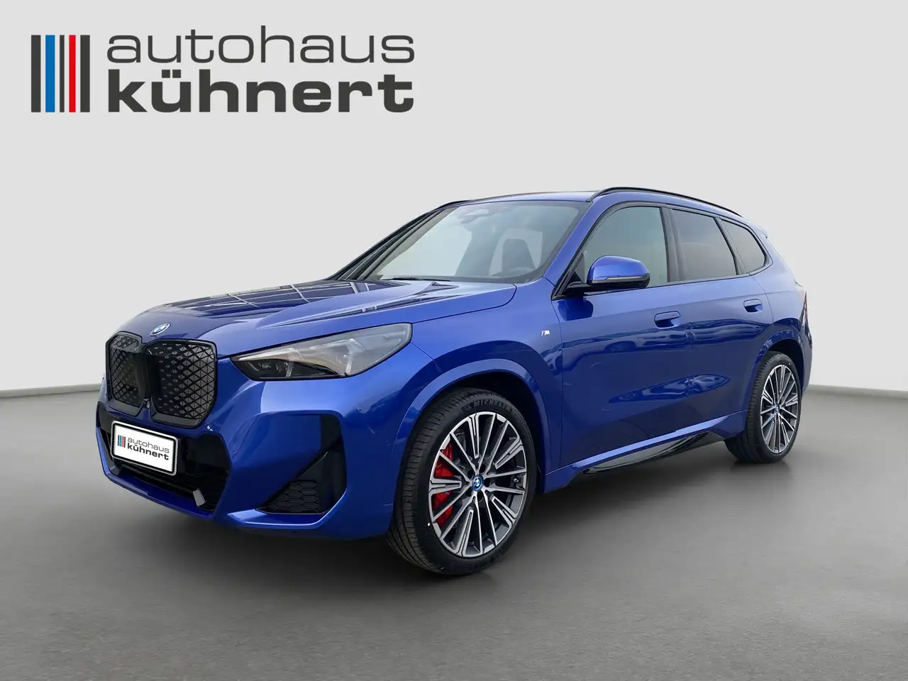 iX1xDrive30 SpurAss PanoSD ///M-Sport ACC 360°