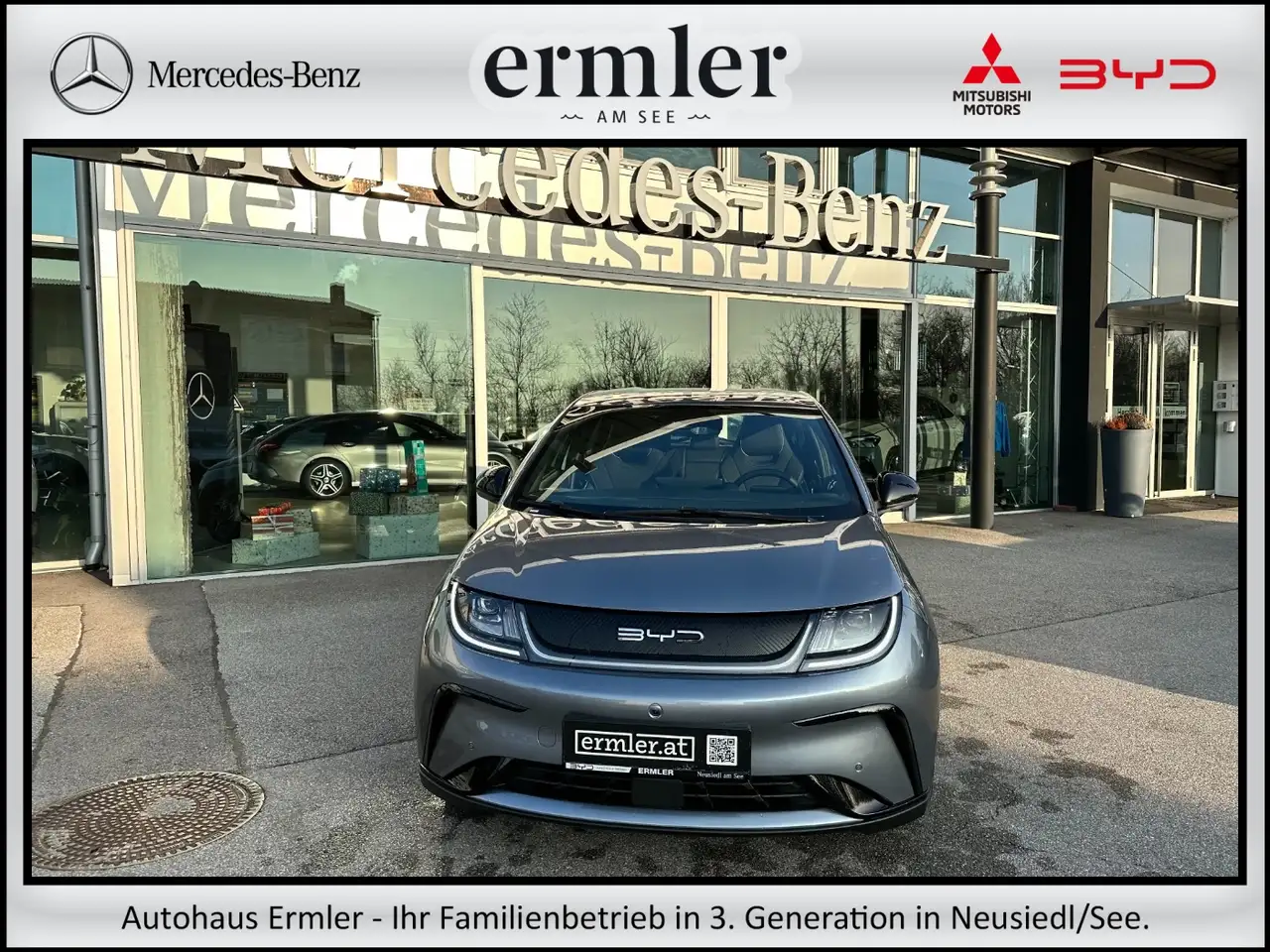 DolphinComfort Elektro wenig KM TOP-Ausstattung