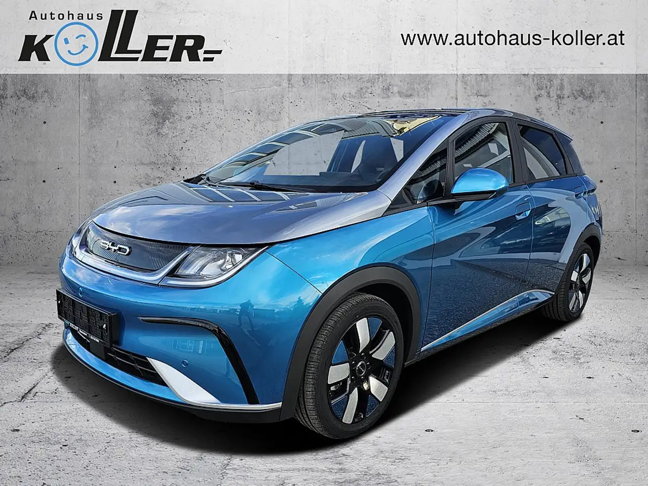 Dolphin60,4 kWh Design Österreich Paket *sofort verfüg...