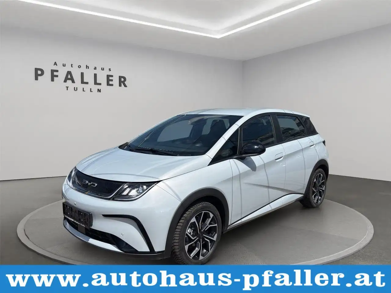 Dolphin60,4 kWh Comfort Österreich paket