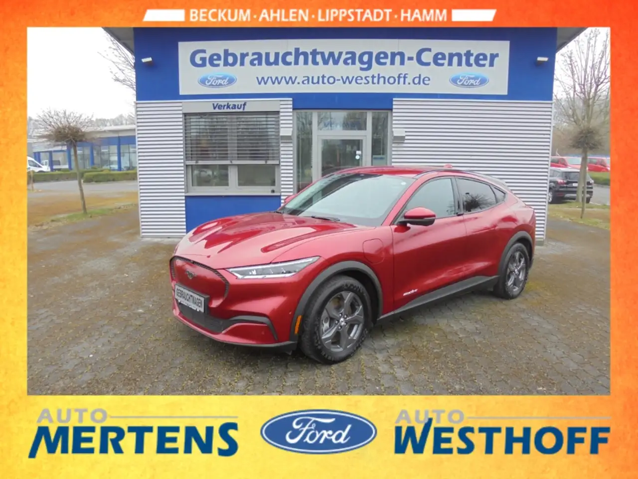 Mustang Mach-ETechnologie-Paket RWD 76kwh
