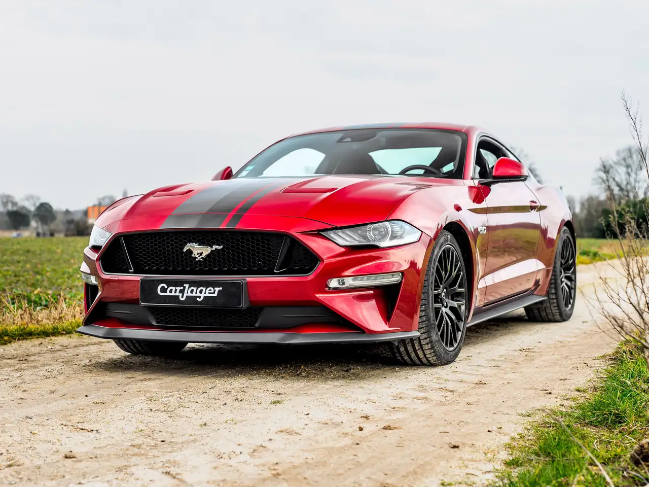 MustangFastback V8 5.0 GT