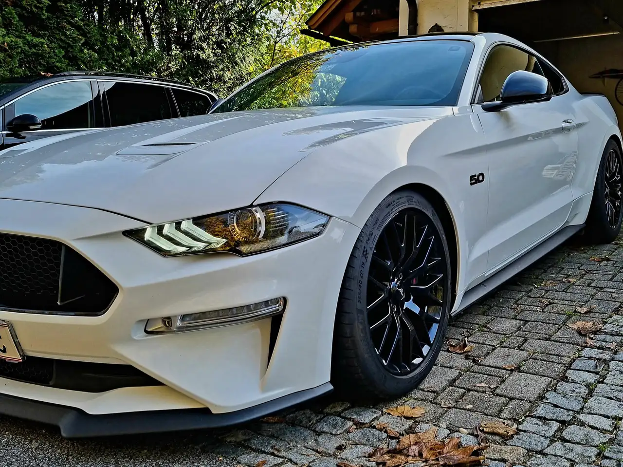 Mustang5,0 Ti-VCT V8 GT
