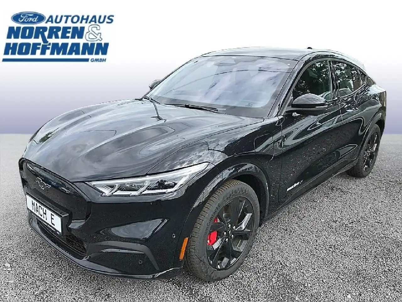 Mustang Mach-EPremium
