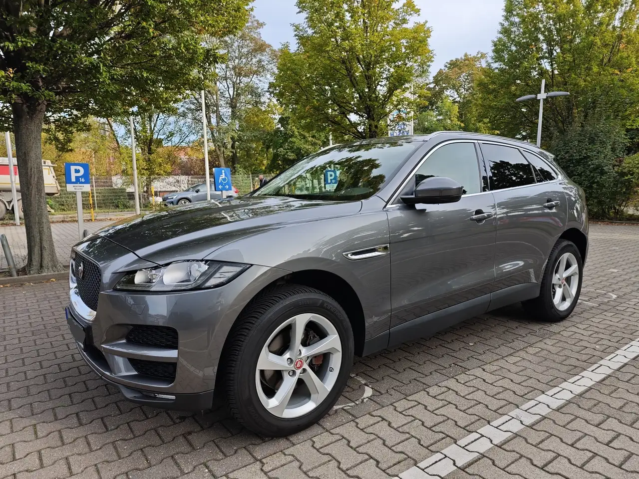 F-PacePortfolio AWD Steuerkette Neu Service HuAU Neu