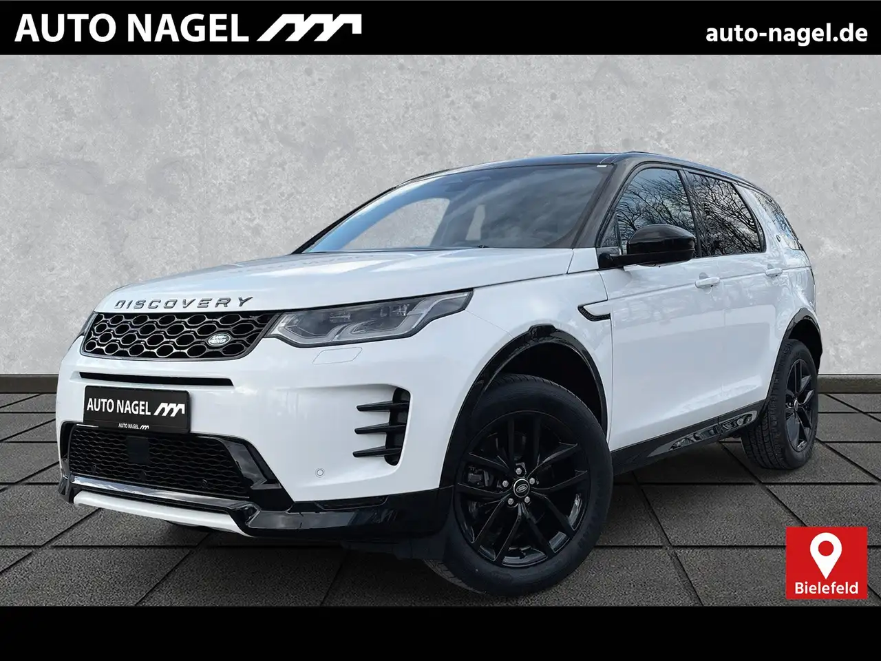 Discovery SportDiscovery Sport D165 Dyn. SE 19"WinterP.T-Winkel
