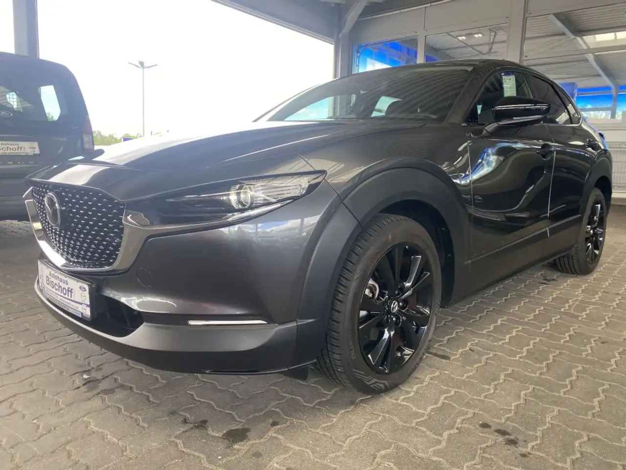 CX-30e-SKYACTIV-G 2.0 M HYBRID 150 DRIVE HOMURA
