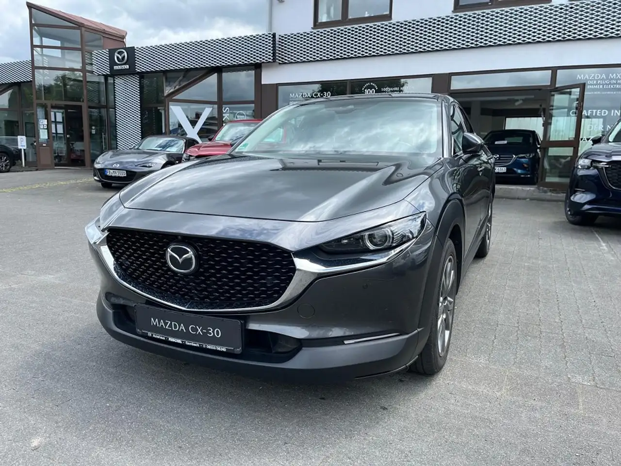 CX-30SKYACTIV-X Selection, Design+Activesense-Paket,Bos