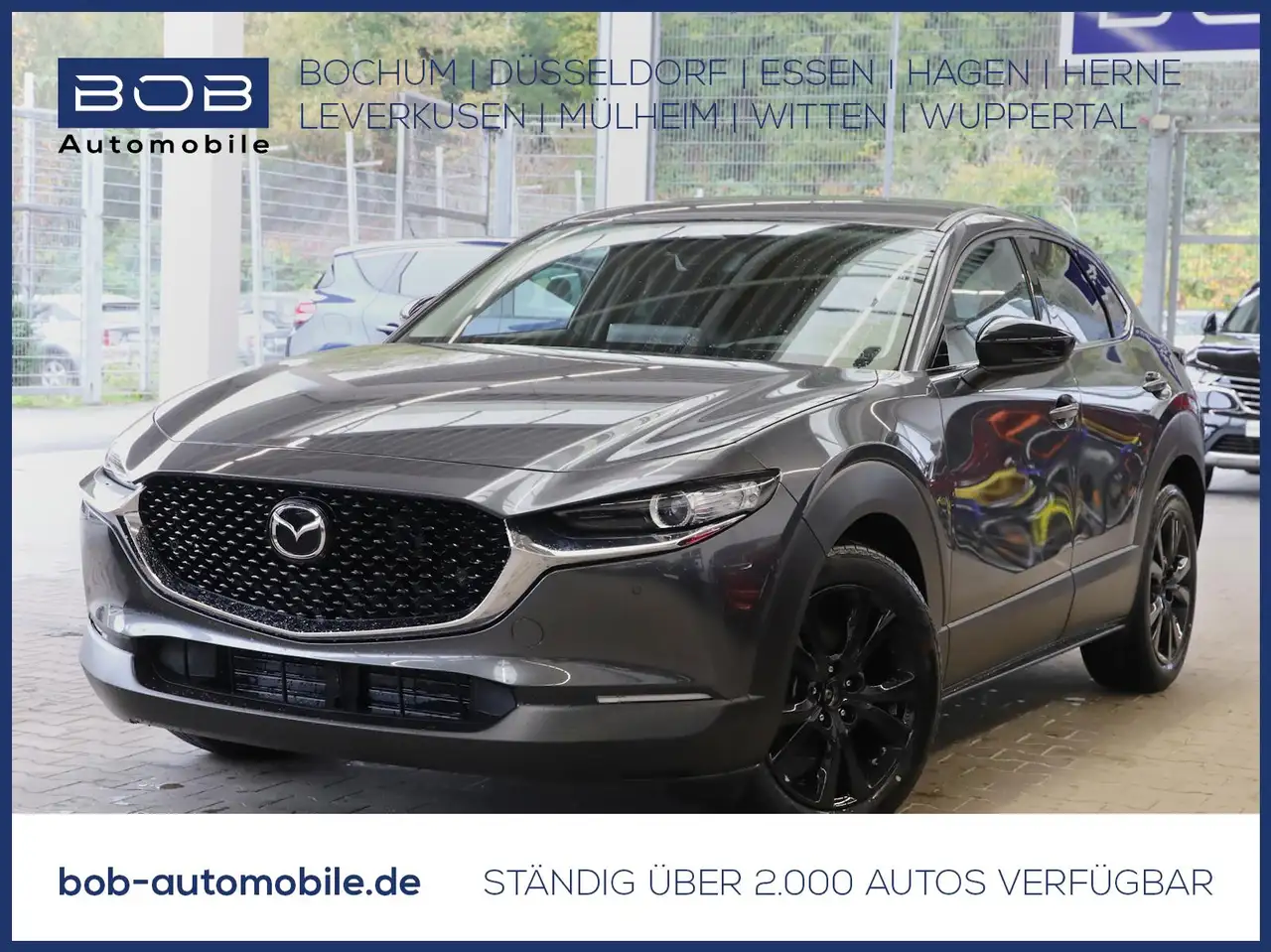 CX-302.5L G 6MT FWD Homura NAVI SHZ PDC