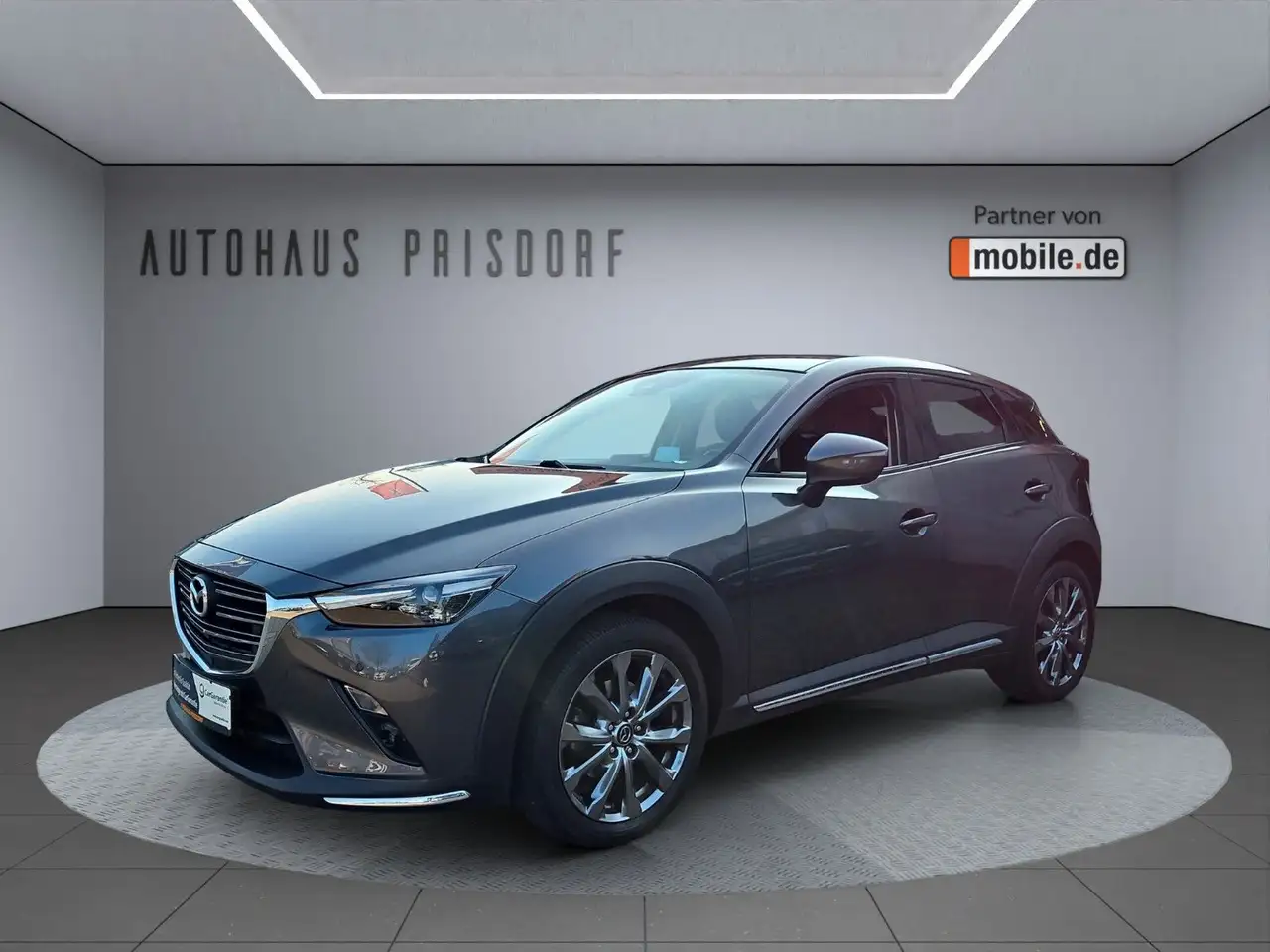 CX-3Kangei /Leder/Navi/HUD/
