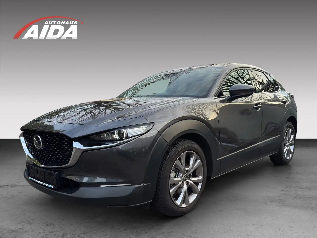 CX-30SKYACTIV-G 2.0 M Hybrid  AL-SELECTION A18 DES-P AC